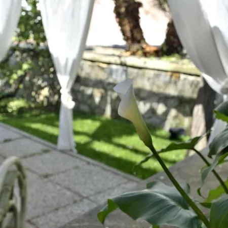 Holiday home Fiore *