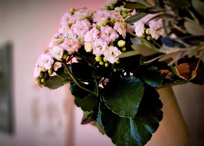 Сasa de vacaciones Fiore