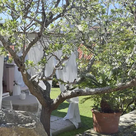 Fiore بيت للعطل بورتوفيرّايو