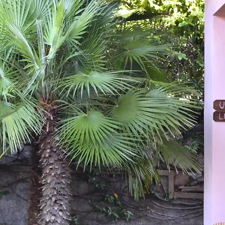 Fiore بورتوفيرّايو